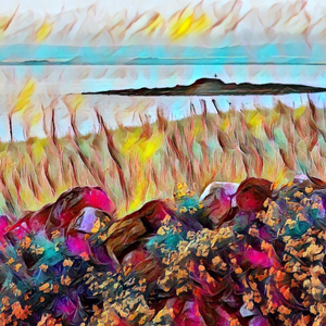 Image of: Peace and Pandemonium on Holy Island